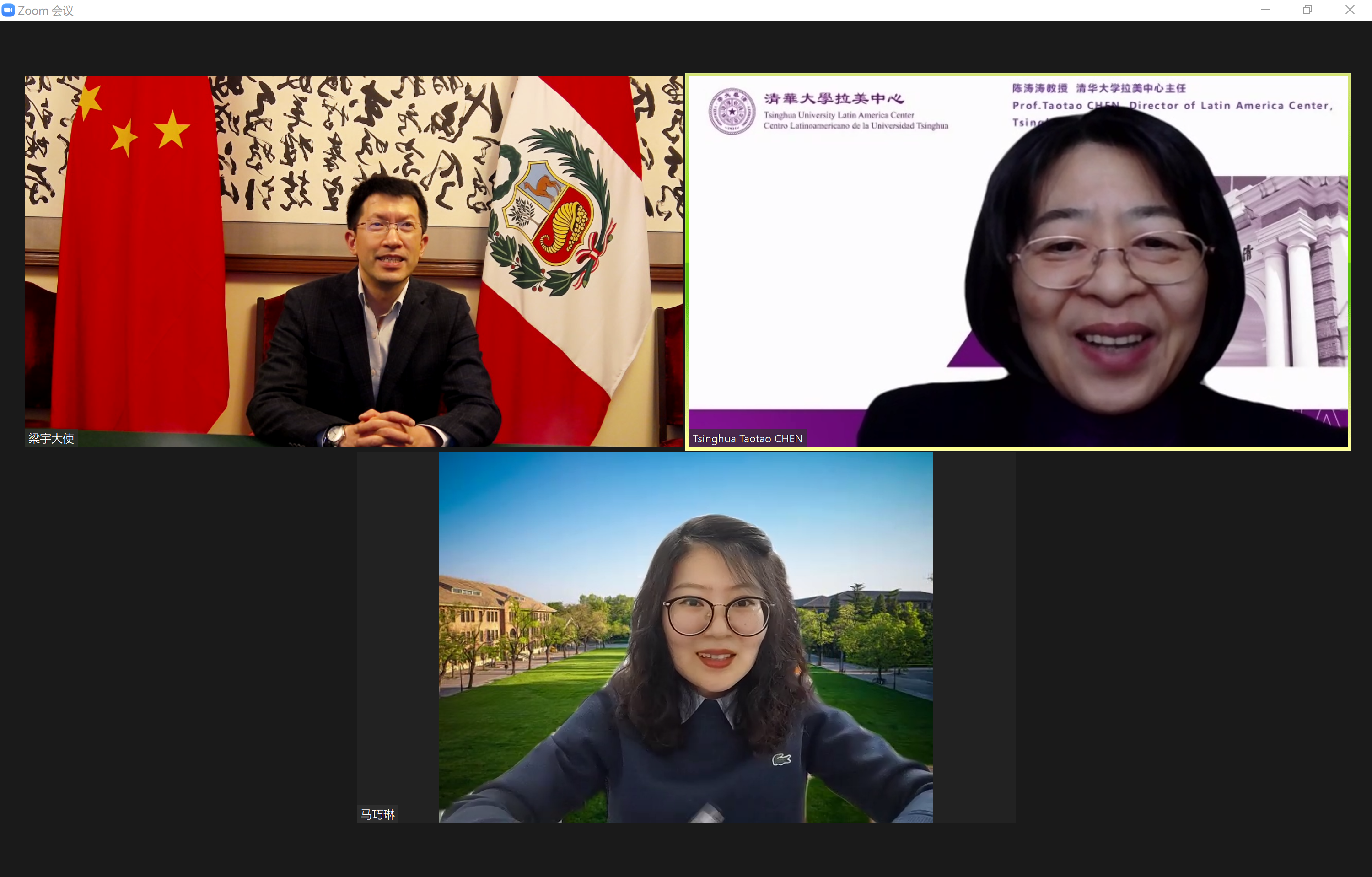 2021大使见清华大学拉美中心主任陈涛涛.png